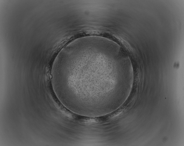 X0000090780513200708031718