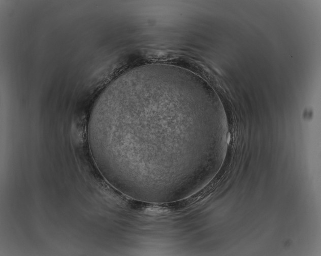 X0000090780515200708031718