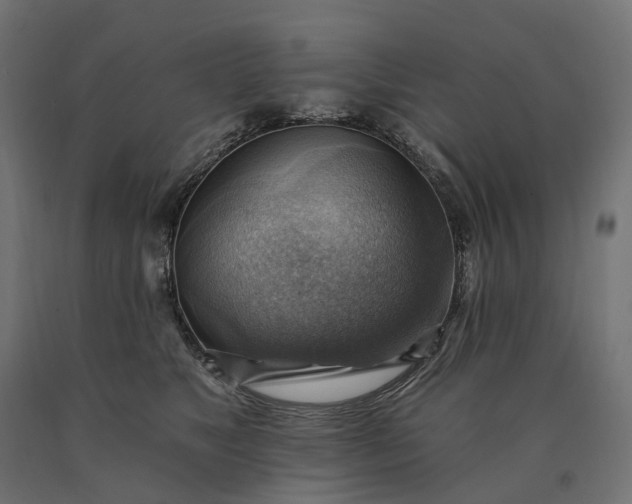 X0000090780517200708031718