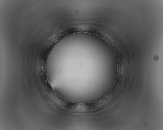 X0000090780518200708031718