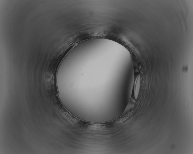 X0000090780521200708031718