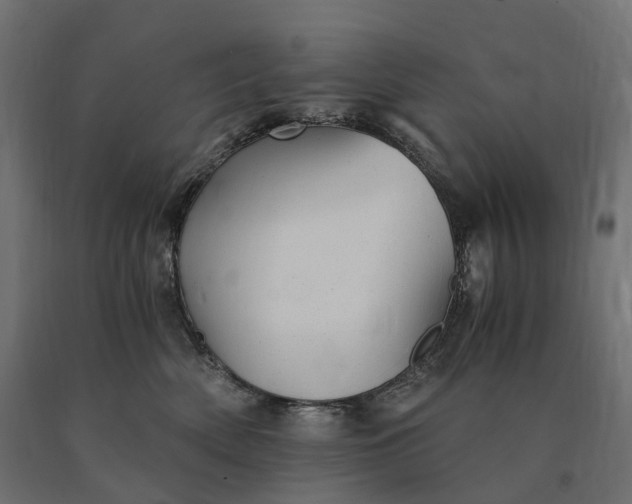 X0000090780522200708031718