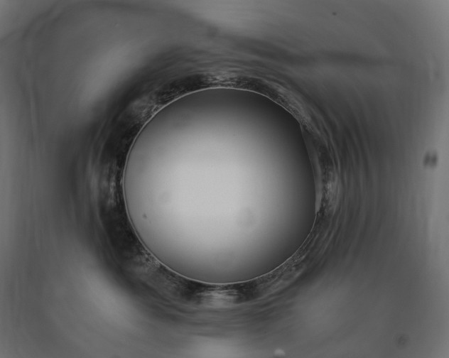 X0000090780525200708031718