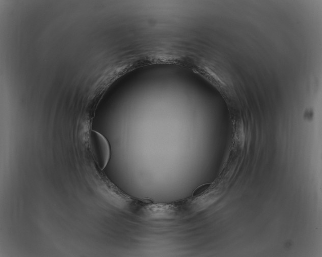 X0000090780526200708031718