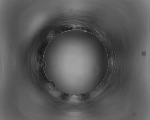 X0000090780527200708031718