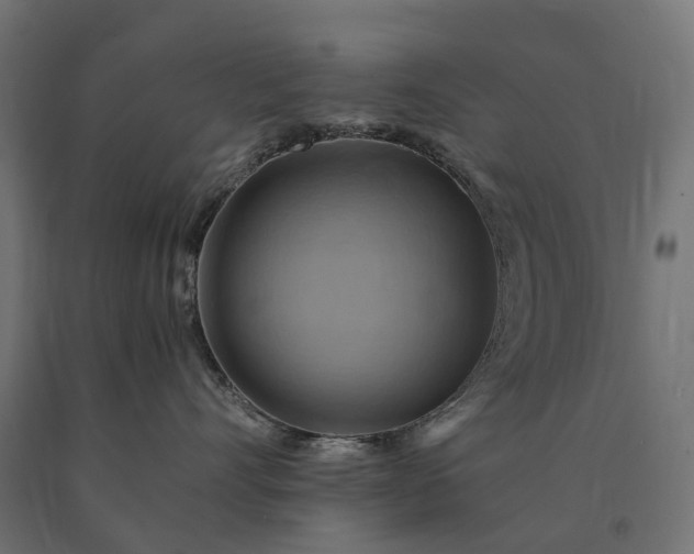 X0000090780528200708031718