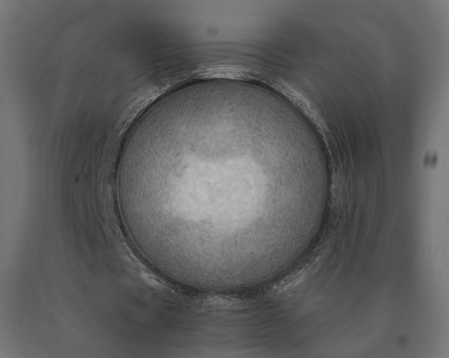 X0000090780529200708031717
