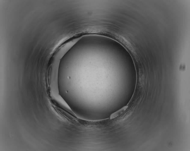 X0000090780530200708031717