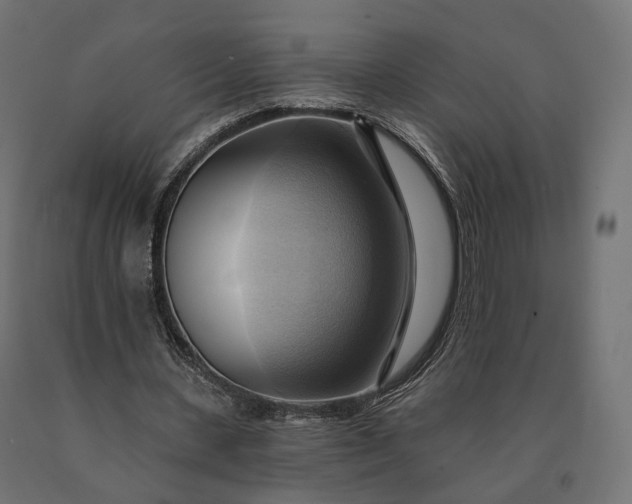 X0000090780531200708031717
