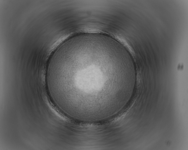 X0000090780533200708031717