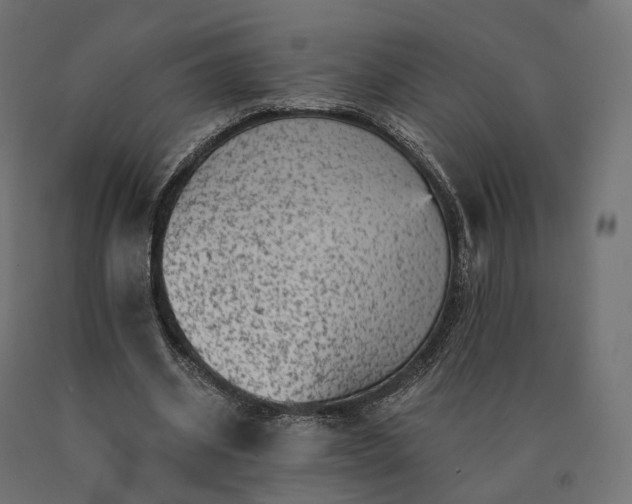 X0000090780534200708031717