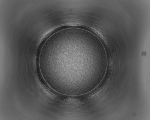 X0000090780535200708031717