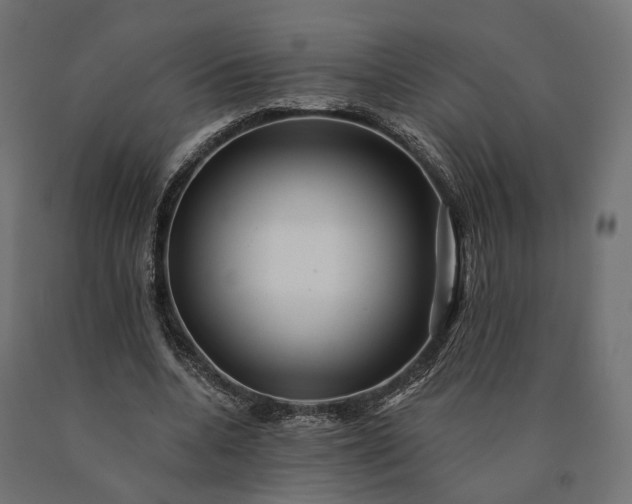 X0000090780536200708031717
