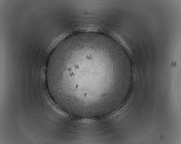 X0000090780537200708031717