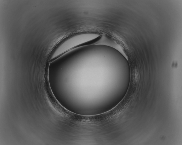 X0000090780538200708031717