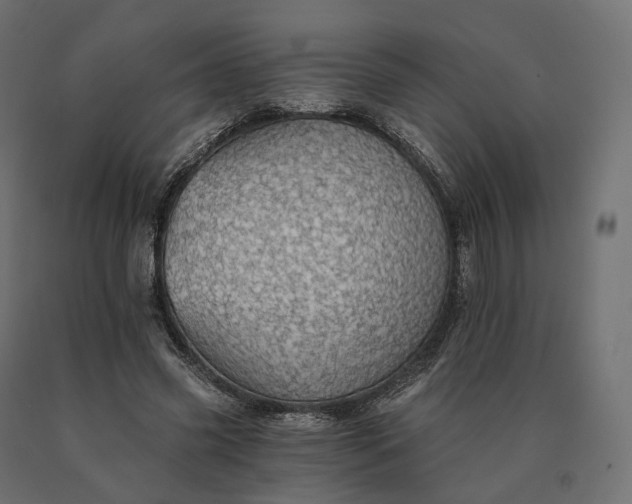 X0000090780541200708031717