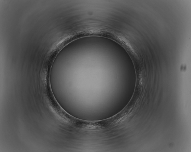 X0000090780542200708031717