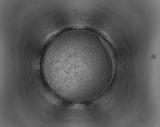 X0000090780543200708031717
