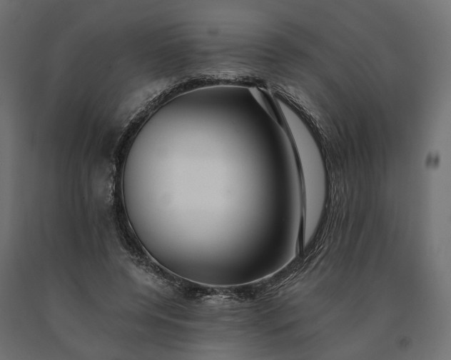X0000090780544200708031717