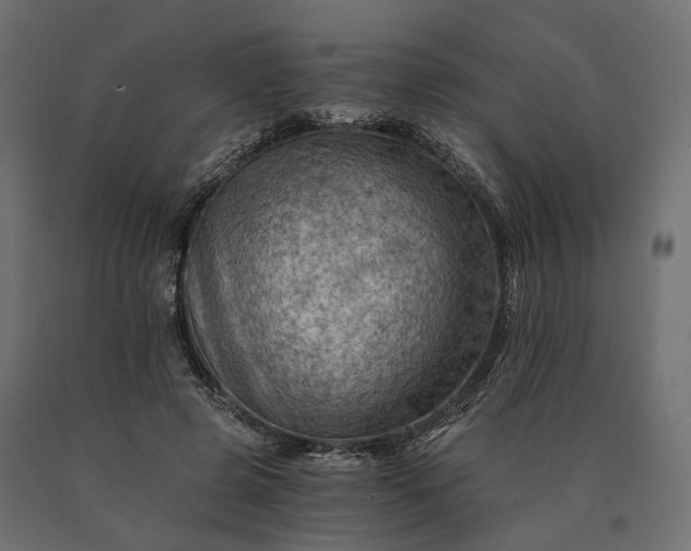 X0000090780545200708031717
