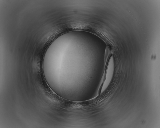 X0000090780547200708031717