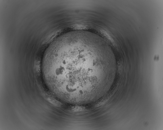 X0000090780549200708031717