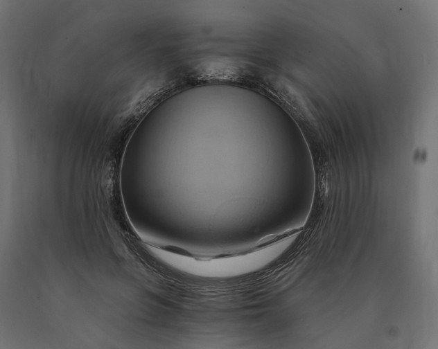 X0000090780551200708031717