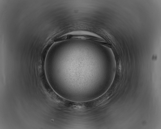 X0000090780552200708031717