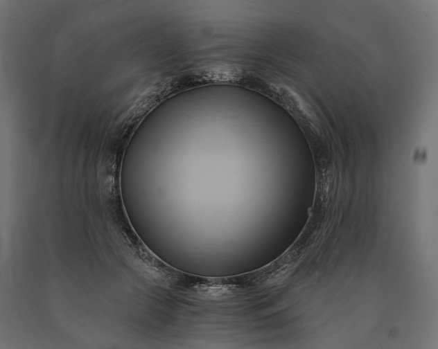X0000090780553200708031717