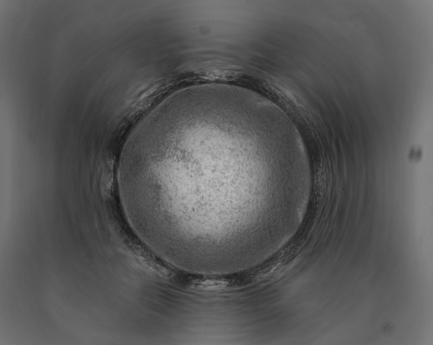 X0000090780554200708031717
