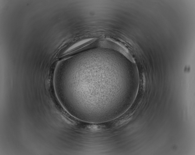 X0000090780558200708031717