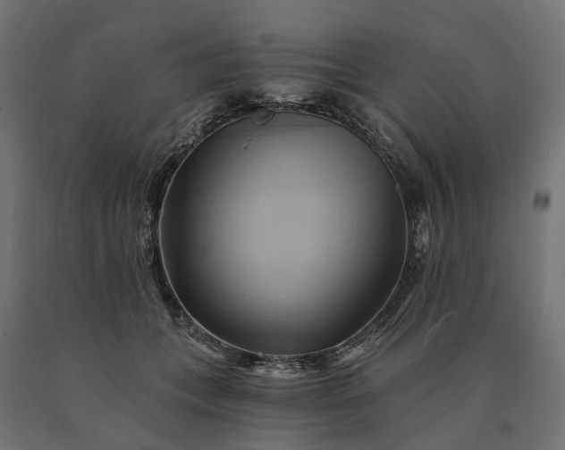 X0000090780559200708031717