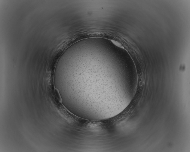 X0000090780560200708031717