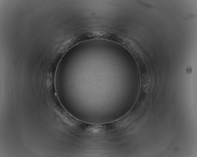 X0000090780563200708031717