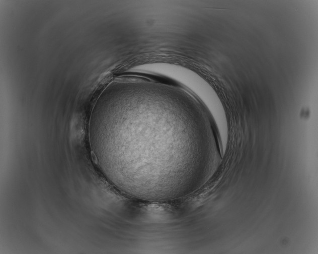 X0000090780566200708031717