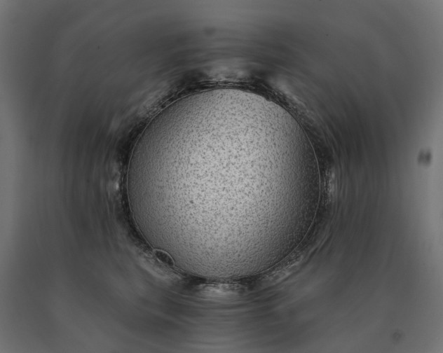 X0000090780567200708031717