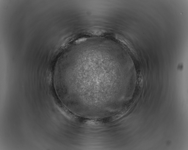 X0000090780568200708031717