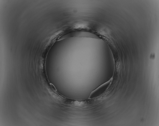 X0000090780570200708031717