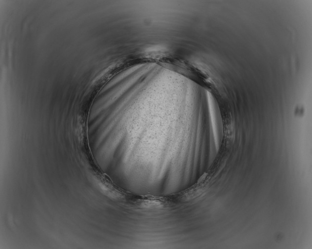 X0000090780572200708031717