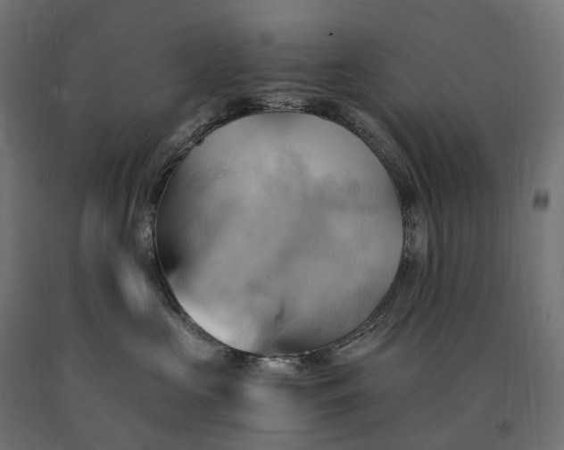 X0000090780573200708031718