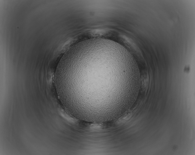 X0000090780574200708031718