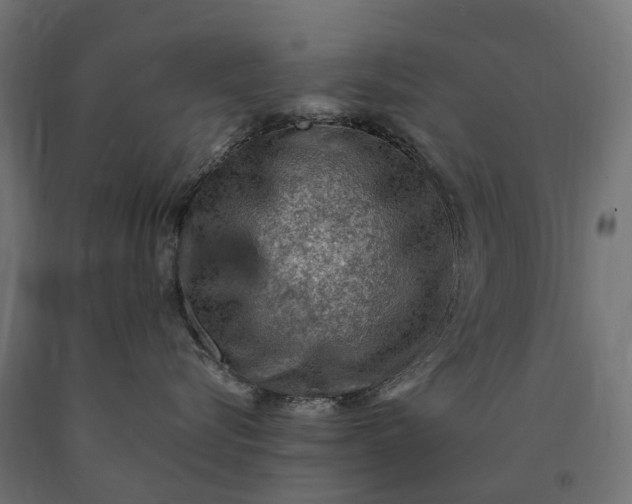 X0000090780576200708031718