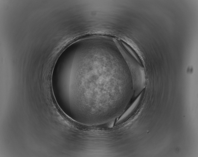 X0000090780577200708031717