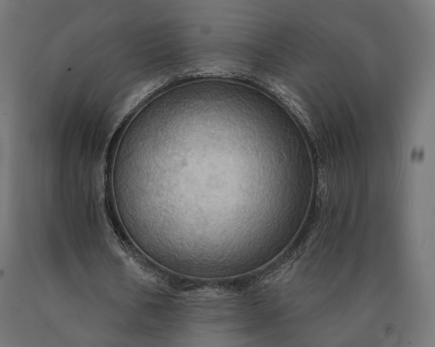 X0000090780578200708031717