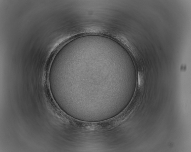 X0000090780579200708031717
