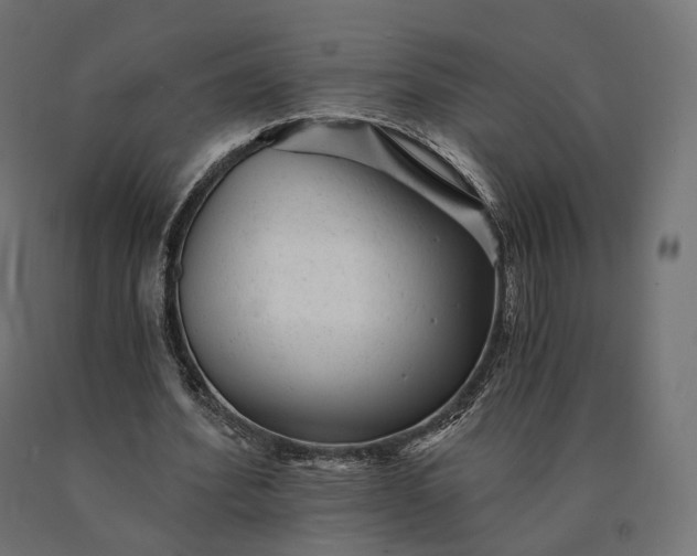 X0000090780580200708031717