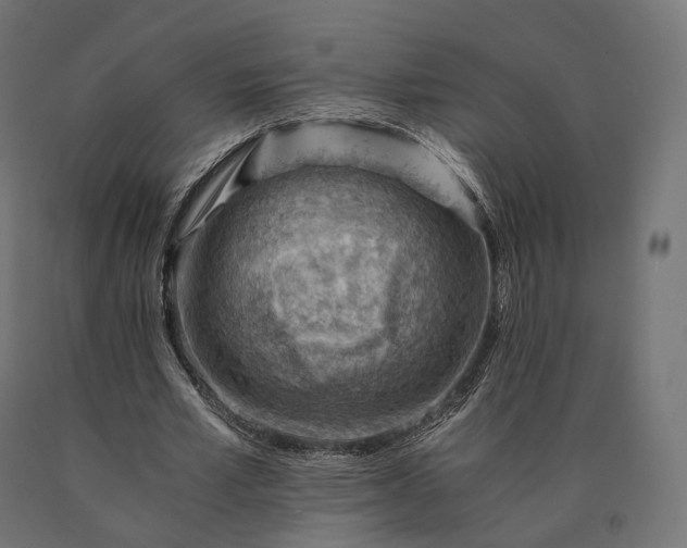 X0000090780581200708031717