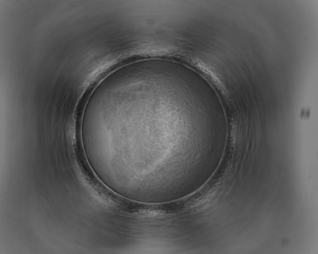 X0000090780582200708031717