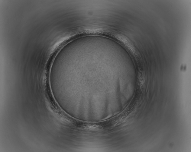 X0000090780583200708031717