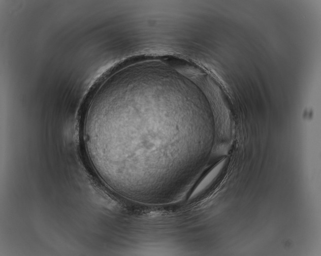 X0000090780584200708031717